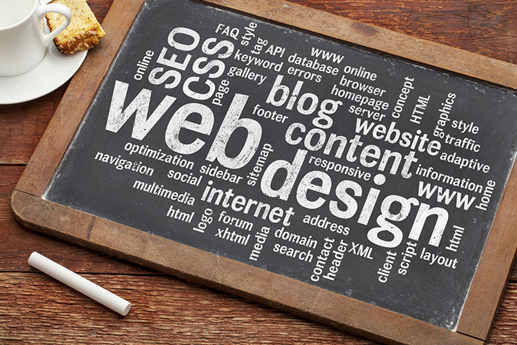 5 things to look for in web designer