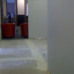 is that narnia back there